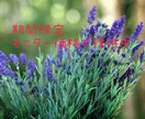 人間関係、生きづらさを感じるあなたにお届けします ハーブからのメッセージで緊張した気持ちを解放に導きます イメージ2