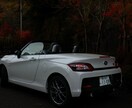 自動車の撮影をします カタログ、カレンダー等にクールな写真を撮らせていただきます。 イメージ3