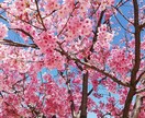 仕事・人間関係・恋愛など、解決策をご提案します 不安を少しでも和らげ、笑顔になりましょう！ イメージ3