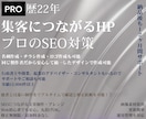 プロ22年が丁寧に満足するまで！制作につきあいます プロが分析して強いSEO！集客に強い！ホームページ！作成 イメージ1