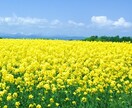人生経験豊富な母が悩めるお母さんの相談受付ます 一人で抱え込まず、ハッピーライフを送りましょう！ イメージ1