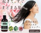 バナー・ヘッダー・SNS画像の制作を致します 見てもらいたいターゲットに合わせてWeb画像をご提案します イメージ3