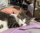 心のモヤモヤをお聞きしクライアントの傾聴しています 話したいことを話していただき、スッキリできれば嬉しいです。 イメージ1