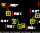 FXのトレーダー推奨の両建て手法をお教えします 5年に渡ってトレードしてきた自信を持ってお勧めする両建て手法 イメージ4