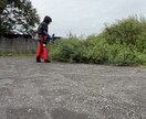 庭の草刈高枝切りから山林の伐倒までプロが解決します 最新機材で安全・迅速に！お庭の草刈りから山林伐採まで解決 イメージ8