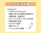 限定1枠！インスタ運用代行をします 【集客に効果的な運用をおまかせください】 イメージ3