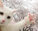 嬉しい事を一緒にお祝いします コロナ禍で遠慮している子にそっとお祝いの言葉をプレゼント イメージ1