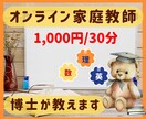 英・数・理　『ここだけ教えて！』　におこたえします 某個別指導塾で3.５％しかいないプロ講師が教えます！ イメージ1