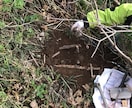 ハンターを目指す方の相談に乗ります ハンターへの道を現役シカハンターが徹底解説！ イメージ2