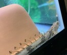 魚の飼育について教えます 水槽のレイアウト、飼育する時の注意点などについてお答えします イメージ3