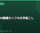 短尺SNS動画のセリフを文字起こしします リールやShorts向けに短時間で整えます イメージ1