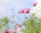 あなたのお話5分から。なんでもお聞きします ゆっくり誰かに話をしたいことはありませんか？ イメージ3