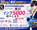 X30日間運用サポート！自然にインプ増加します 毎日対応！5000インプ＋10いいね！分割可能サービス イメージ1
