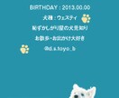 ペット名刺（PET NAME CARD）制作します セミオーダータイプ・50枚単位で注文可能！ イメージ3