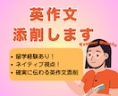 プロ講師・ネイティブが英作文を添削します 留学経験×ネイティブ視点！確実に伝わる英作文添削 イメージ1