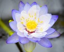 写真のレタッチします 時短のお手伝いさせていただきます★ イメージ7