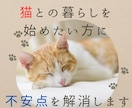 聞かせて❗️愛猫ちゃんのこと☘️アドバイスもします 猫歴10年以上❗️６匹の猫ちゃんと暮らし中✨お悩み相談⭐️ イメージ5