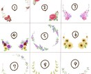 リアル調全身でペット/動物をイラストにします イラスト完成までのメイキング動画もプレゼント！ イメージ6
