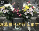 年12回　静岡県、愛知県のお墓参りを代行します なかなか行けないお墓参りを代行します イメージ1
