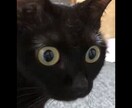 お悩みや迷いごとで踏み出せない背中を押します 踏み出す一歩で自分が変わる。まずは踏み出すきっかけを。 イメージ1