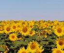 はじめての電話相談、あなたの緊張をほぐします まずは数分♪どんな感じか試してみませんか？ イメージ4