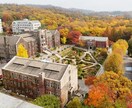 海外大学受験準備お手伝いします ✴︎海外大学受験と国内大学受験を両立させたい方に✴︎ イメージ1