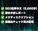 フィットネス・サプリEC向けSEO記事を納品します 競合上位を徹底分析｜薬機法チェック込み イメージ2