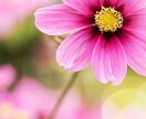 話すだけで心が軽くなります ✧ まとまっていない悩みも大丈夫です イメージ1