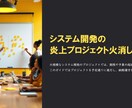 システム開発特化！良さが伝わる提案書を作成します お客様から「わかりやすい！」と言われるように心がけております イメージ2