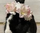 ペット♡のかわいい花かんむり作ります バースデーや記念日、お花見での写真撮影に、兎、猫、犬、小動物 イメージ8
