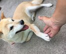 営業職の方の愚痴・相談何でも聞きます 皆さんお疲れ様です！日々のストレスを私にぶつけてください！ イメージ2
