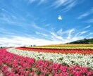 あなたの想いをなんでも聞きます あなたの考えや想いを僕にぶつけてください！！ イメージ4