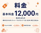 エンタメ系YouTubeをフルテロップ編集します 全発言テロップ対応。レスの速さと丁寧なやり取りが強みです イメージ9