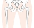 施術に活かせる解剖学教えます 骨格・筋肉・関節のしくみをわかりやすく、モヤモヤの解決！ イメージ5