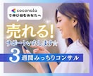 出品者向け！ココナラ売れる商品3週間サポートします 初心者歓迎！プラチナ目指せるココナラ出品をサポートします イメージ1