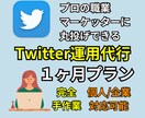 SNSのプロが手作業でTwitter運用代行します SNS/X運用代行｜ツール不使用でリアルに運用します イメージ1