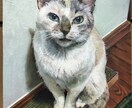 ペットのお写真を味のある油絵にします 現役藝大生がペットとの思い出を形にするお手伝いをします！ イメージ2