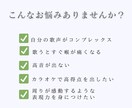 オンラインレッスンの体験レッスンをします 今まで解消できなかった声の悩みを解消しましょう！ イメージ1