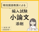 大学・学部編入試験の小論文を国語教員が添削します 論理的で、思いが伝わる文章に。アドバイスで文章力もUP！ イメージ1