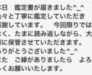 マヤ暦で大切なペットちゃん鑑定させて頂きます ☆ペットちゃんとの相性（魂のご縁）、ペットロスのお力にも☆ イメージ5