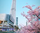 SNSに映える写真編集・加工致します せっかく撮ったけどなんだかイマイチ等 お任せください！ イメージ3