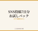 Instagram・X投稿文7日分作ります いきなり30日分は不安な方へ。まず7日分だけ作ります イメージ1