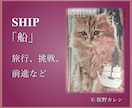 猫好きな方必見！こべびちゃんが占います 可愛い猫ちゃんのカードですが、アドバイスは的確！ イメージ3