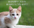 恋愛成就♡次のステージへ！結婚これからを鑑定します 恋愛タロット☆この恋続けるべきか！片想いの答え出しませんか イメージ7