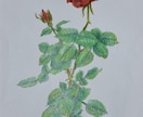 写真から手描き大切なペットや植物の画を制作します 自然で、あなたの心に寄り添う世界に一枚のアートをお届けします イメージ3