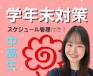 上智大生が学年末テスト対策の成績UPサポートします 【中高生対象】"オール5"のスケジュール管理や勉強法教えます イメージ1