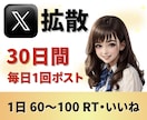 Xで30日間！毎日1回ポストして拡散・告知します 個人起業家さんで宣伝・告知・集客したい方におすすめです！ イメージ6
