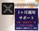 X認知拡大＋投稿｜1ヶ月運用改善まで伴走します 予算に合わせ運用サポート。認知拡大から投稿改善まで柔軟に対応 イメージ1