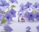 既存の福祉・介護のイラスト素材をご提供します ホームページ、パンフレットなど幅広くご利用いただけます。 イメージ10