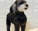 愛犬のうちの子オーダーお作りします もう一度会いたい愛犬を羊毛フェルトでお迎えしませんか？ イメージ10